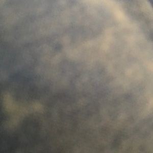 Meet your Posher, Payton